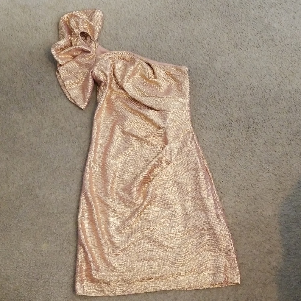 One Sleeve Ruffled Rose Gold Shimmery Dress